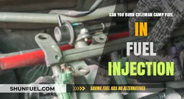 Can Coleman Camp Fuel Be Used in Fuel Injection Systems?