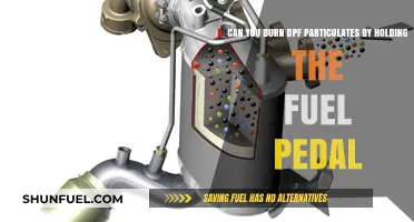 Can Holding the Fuel Pedal Burn DPF Particulates? Expert Insights