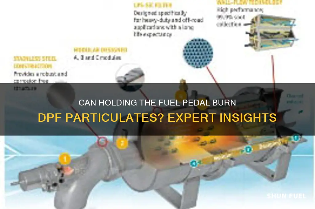 can you burn dpf particulates by holding the fuel pedal