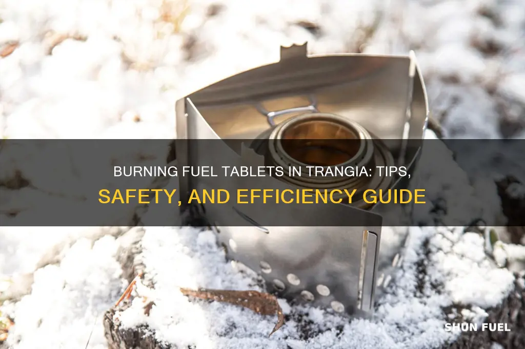 can you burn fuel tablet in trangia