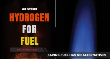 Burning Hydrogen: A Clean Fuel Alternative for the Future?
