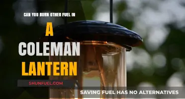 Exploring Alternative Fuels for Coleman Lanterns: What Works and What Doesn't