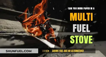 Burning Paper in Multi-Fuel Stoves: Safe Practice or Fire Hazard?