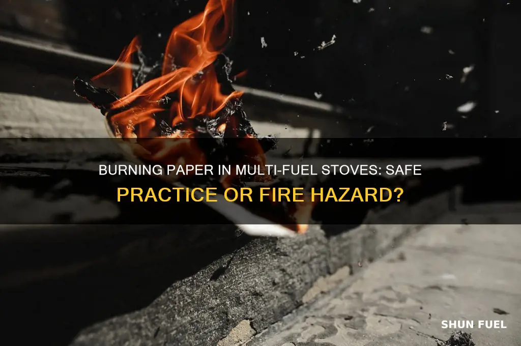 can you burn paper in a multi fuel stove