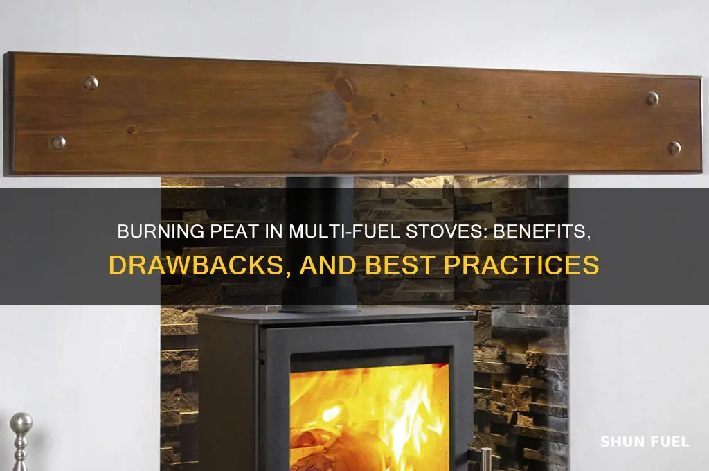 can you burn peat in a multi fuel stove