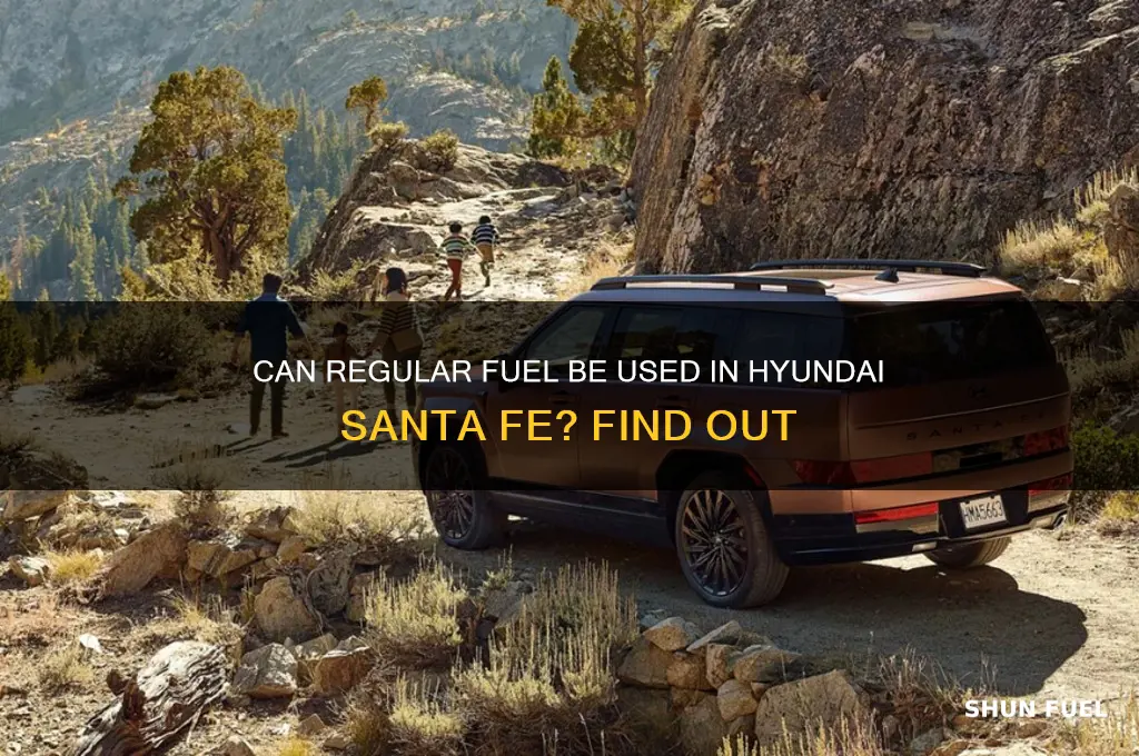 can you burn regular fuel in the santa fe hyundai