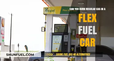 Can Regular Gas Be Used in Flex Fuel Vehicles?