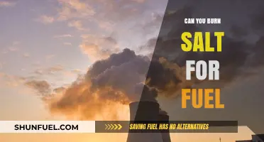 Can Salt Be Burned as Fuel? Exploring Alternative Energy Sources