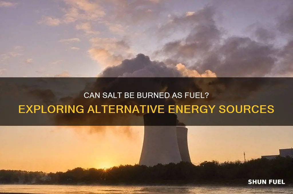 can you burn salt for fuel