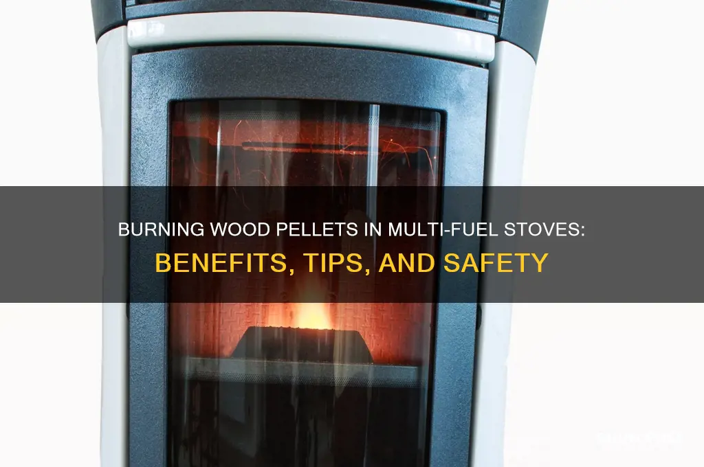 can you burn wood pellets in a multi fuel stove