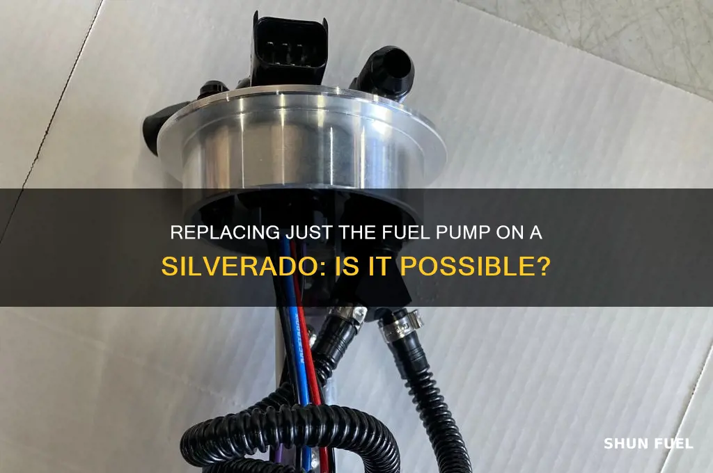 can you but just the fuel pump on silverado