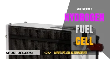 Exploring Hydrogen Fuel Cells: Where and How to Purchase One