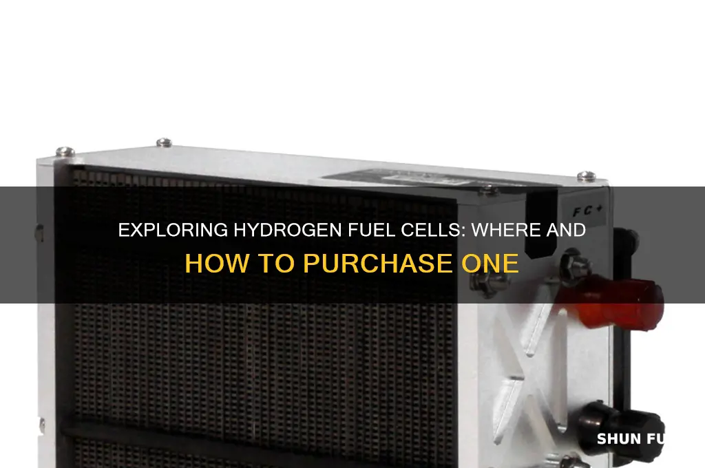 can you buy a hydrogen fuel cell
