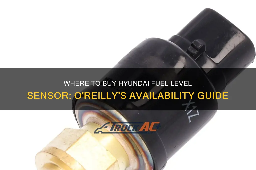 can you buy a hyundai fuel level sensor at oreillys