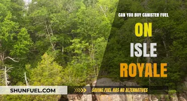 Buying Canister Fuel on Isle Royale: Availability and Options for Backpackers
