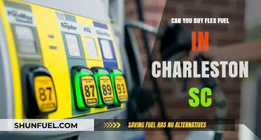 Where to Find Flex Fuel in Charleston, SC: A Comprehensive Guide