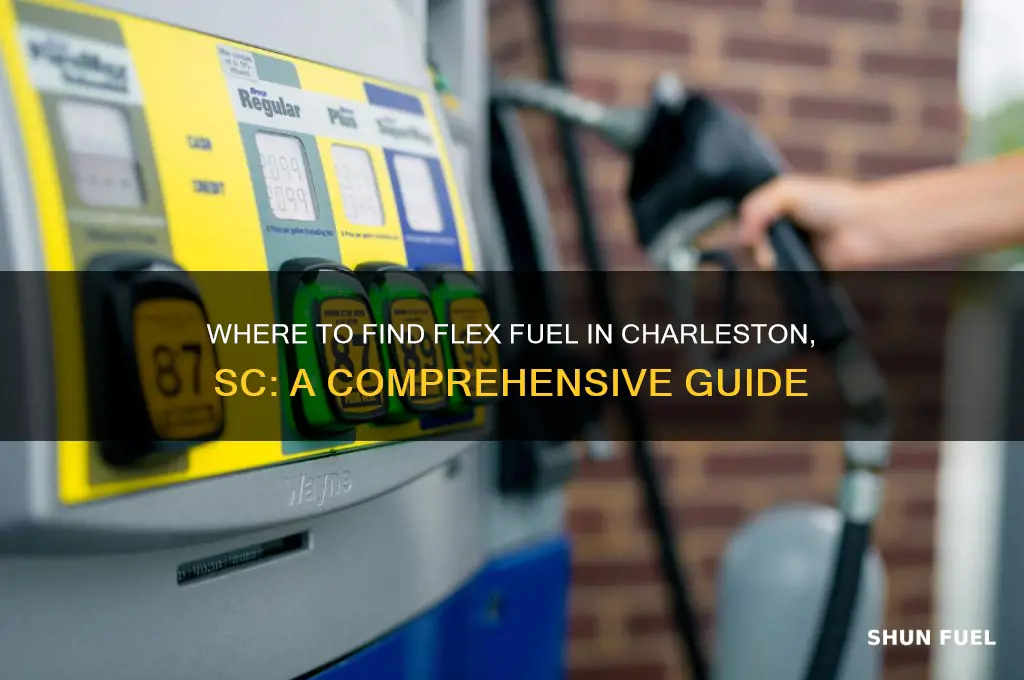 can you buy flex fuel in charleston sc