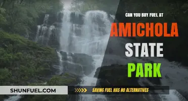 Fuel Availability at Amichola State Park: What You Need to Know