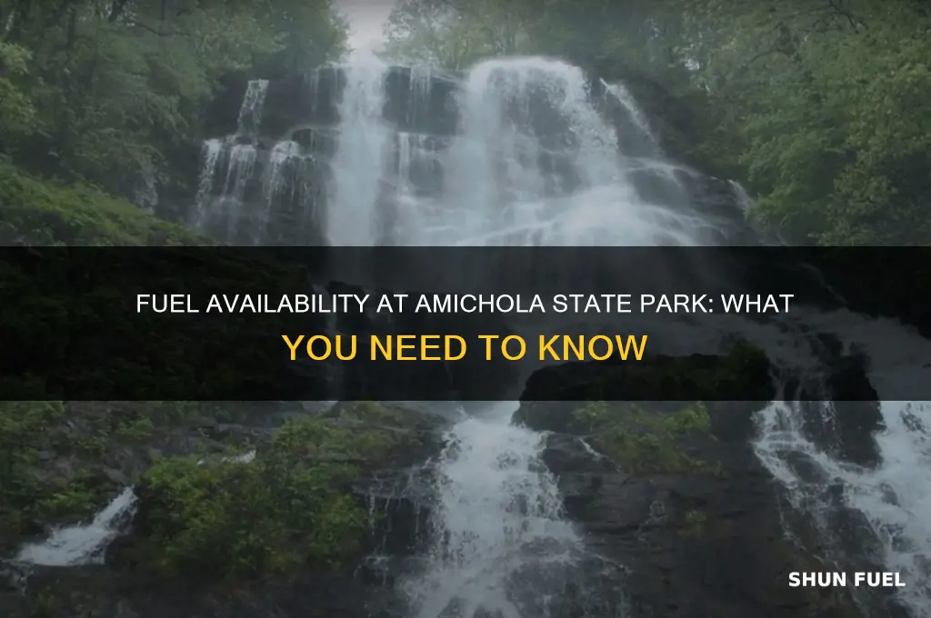 can you buy fuel at amichola state park