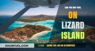 Exploring Lizard Island: Fuel Availability and Travel Essentials Guide