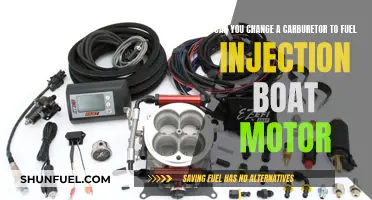 Switching Boat Motors: Carburetor to Fuel Injection