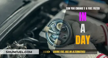 Fuel Filter Change: DIY or Not?