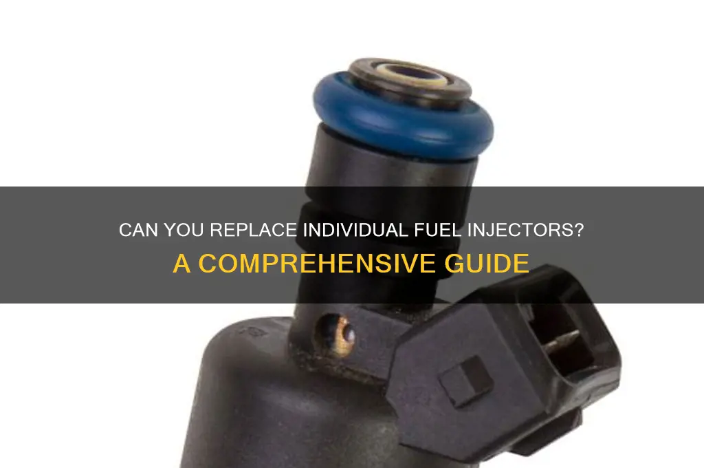 can you change fuel injectors individually