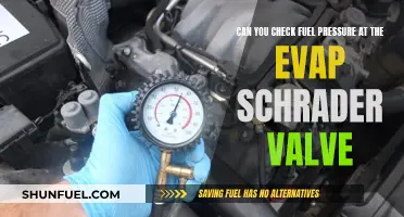 Checking Fuel Pressure: EVAP Schrader Valve Method