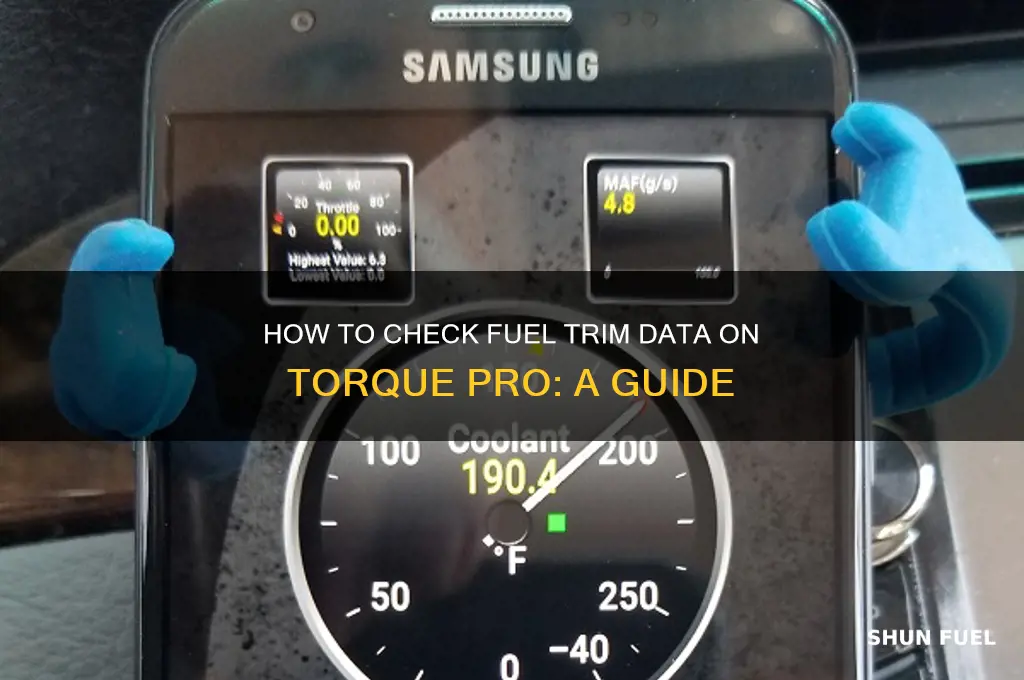 can you check fuel trim data on torque pro