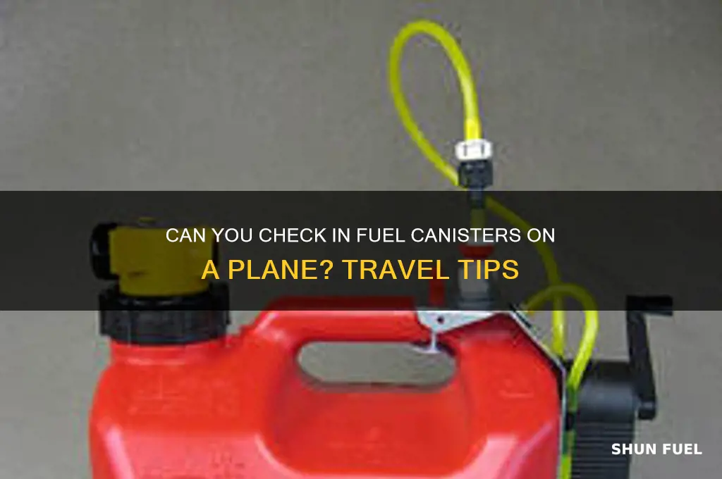 can you check in fuel canisters plane