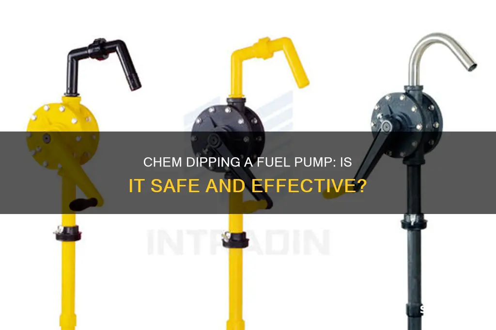 can you chem dip a fuel pump