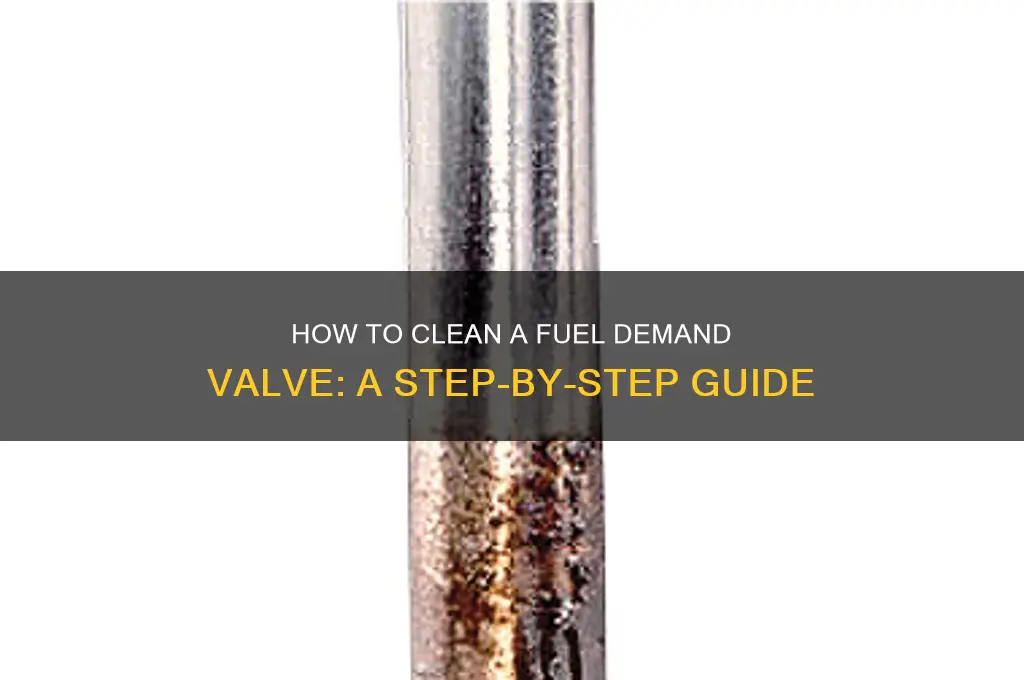 can you clean a fuel demand valve