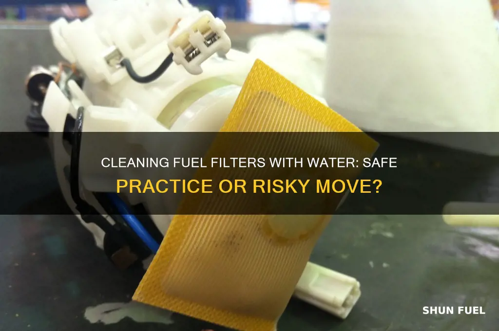 can you clean a fuel filter with water