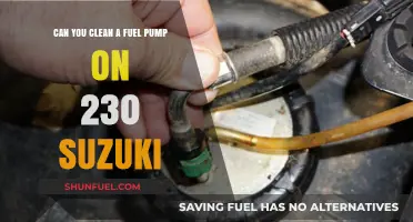 How to Clean a Suzuki 230 Fuel Pump: Step-by-Step Guide