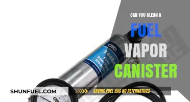 How to Clean a Fuel Vapor Canister: A Step-by-Step Guide