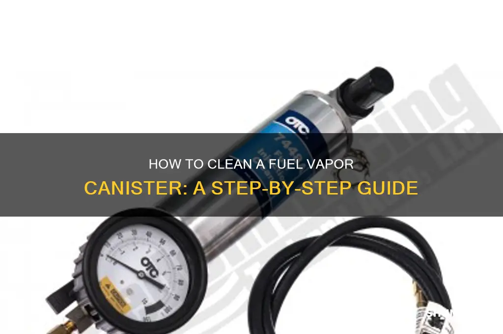 can you clean a fuel vapor canister