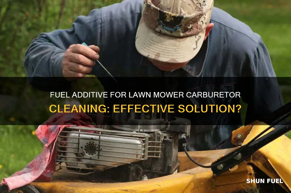 can you clean a lawn mower carboretor with fuel additive