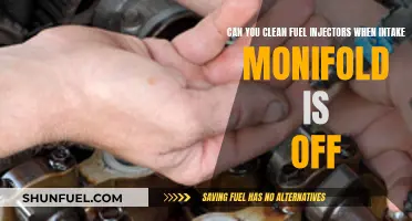 Cleaning Fuel Injectors: Intake Manifold Off or On?