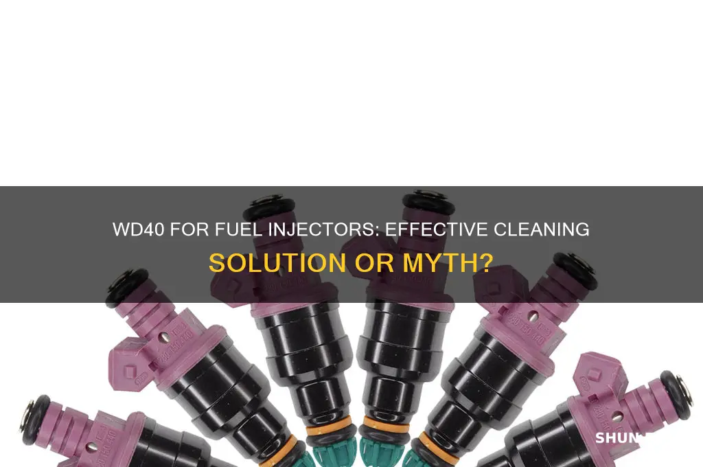 can you clean fuel injectors with wd40