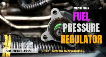 How to Clean Your Fuel Pressure Regulator?