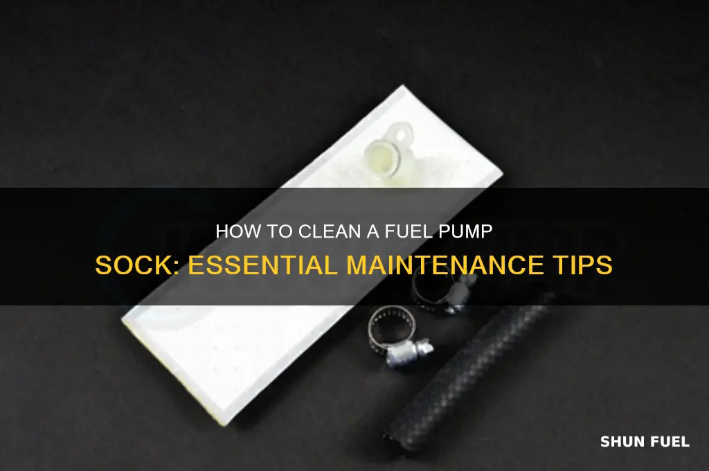 can you clean fuel pump sock