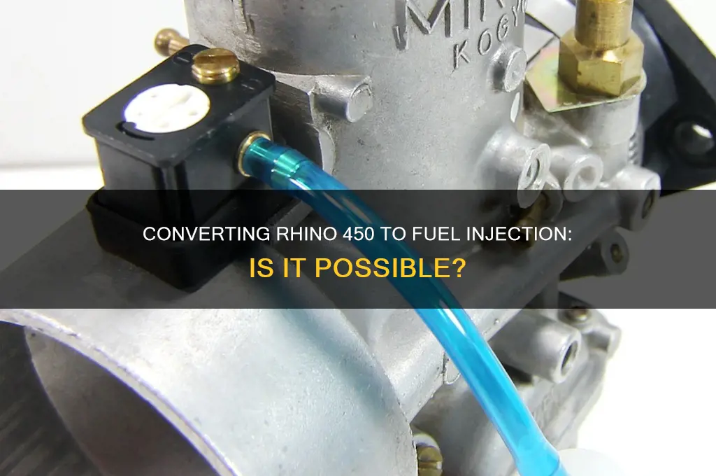 can you conversion rhino 450 to fuel injection