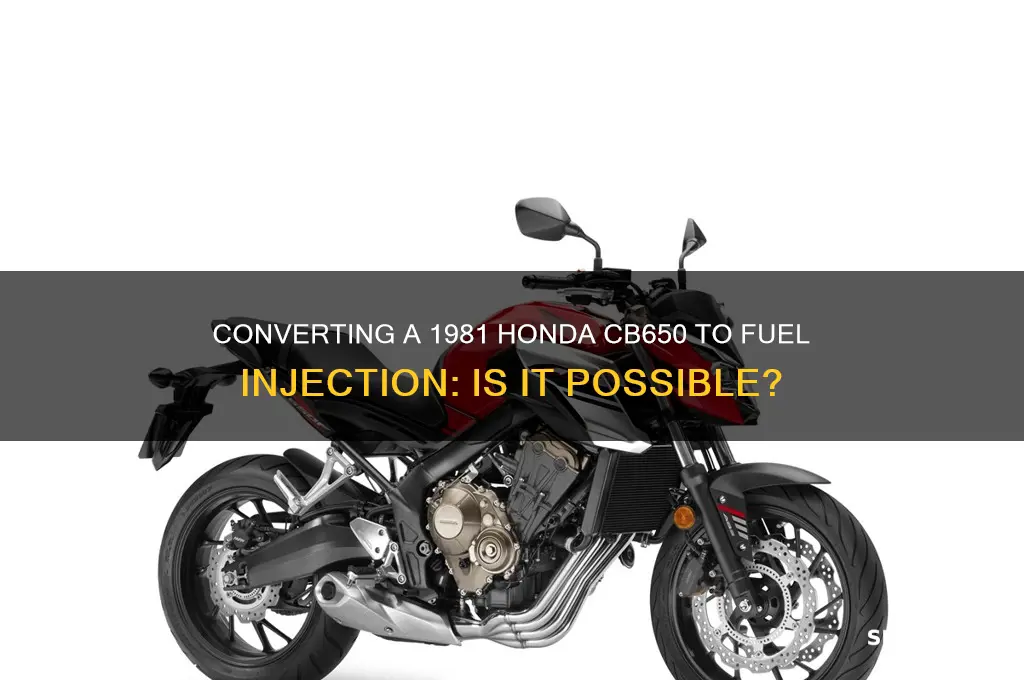 can you convert a 1981 honda cb650 fuel injection