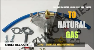Converting Dual Fuel Generators to Natural Gas: Feasibility and Steps