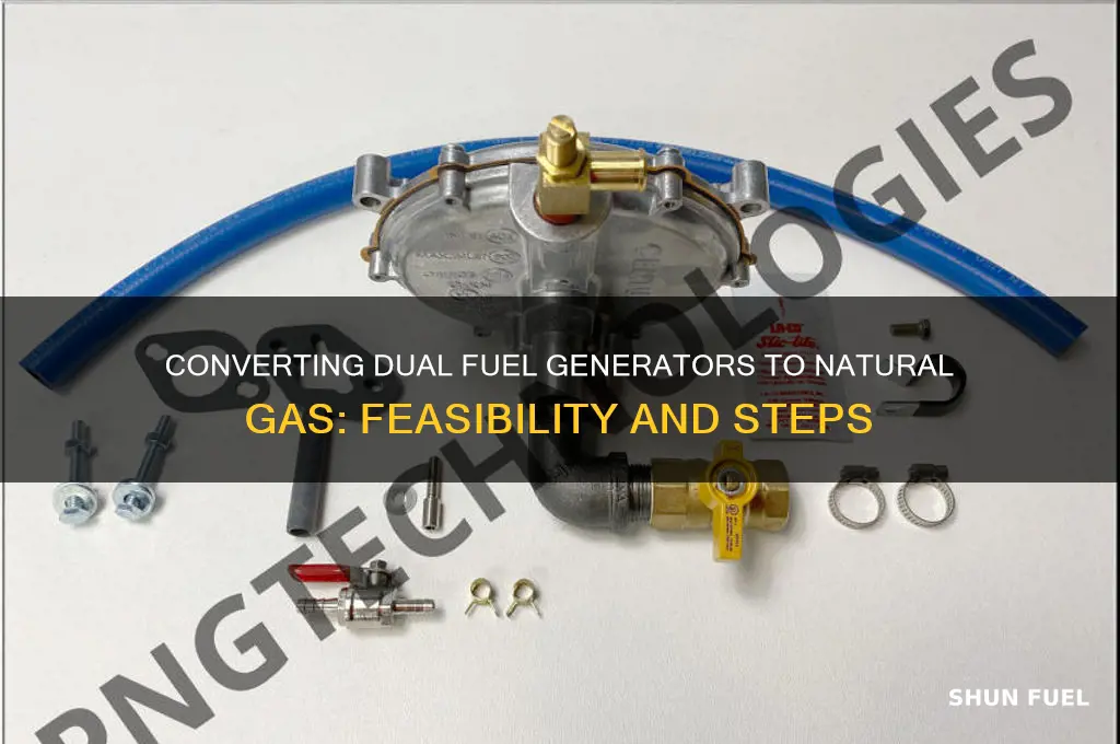 can you convert a dual fuel generator to natural gas