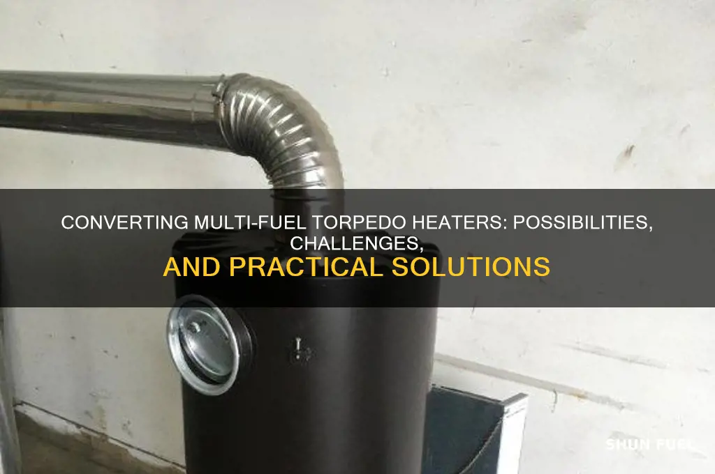 can you convert a multi fuel torpedo heater
