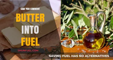 Turning Butter into Fuel: Exploring Alternative Energy Sources from Dairy