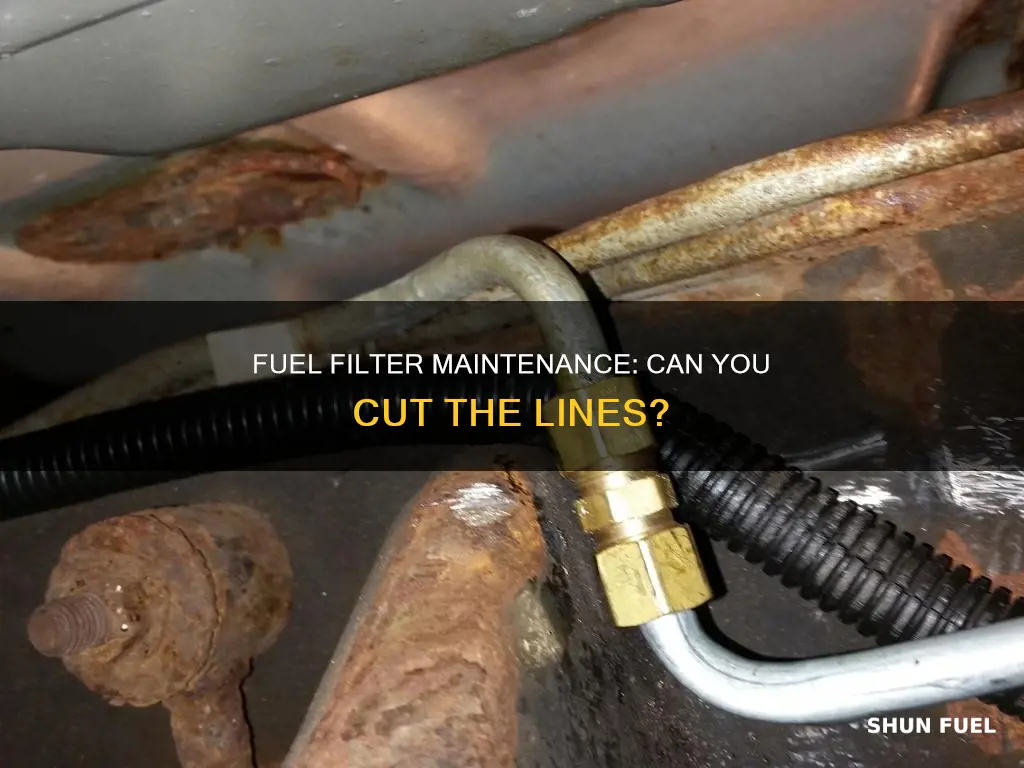 can you cut the lines to a fuel filter