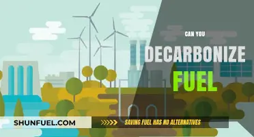 Decarbonizing Fuel: Exploring Sustainable Solutions for a Greener Future