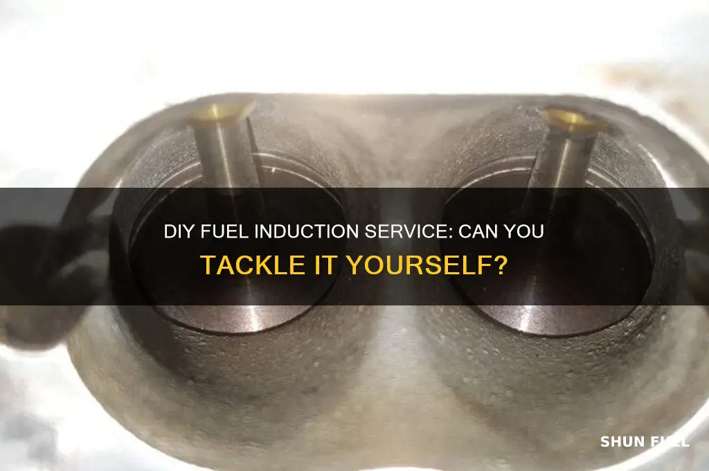 can you do a fuel induction service yourself